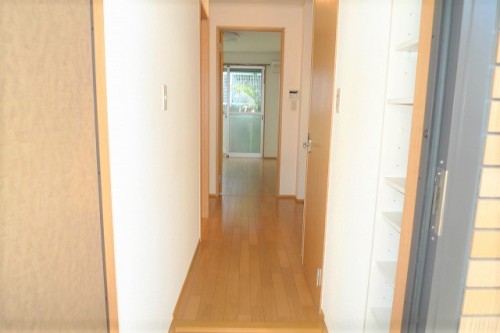 エクセレントアドーン