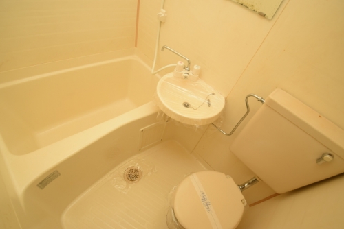 フェリオイズミ