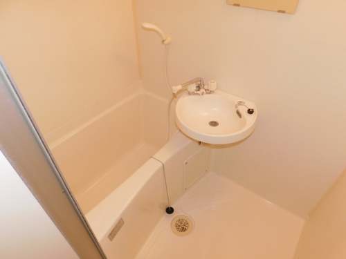 メープルツチモトⅡ