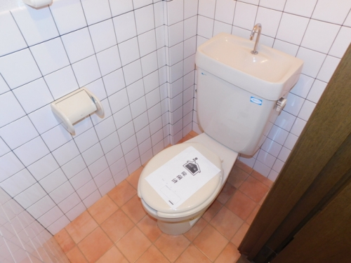 メープルツチモトⅡ